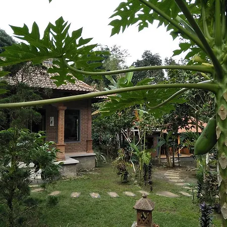 Dina Homestay