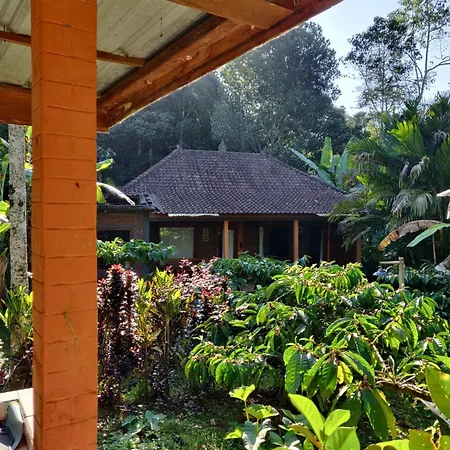 Dina Home Stay At Desa Wisata Wongayagede