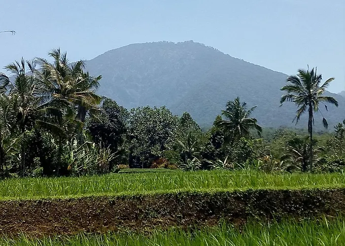Dina Jatiluwih